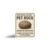 Pet Rock Delivery Sticker - Prank