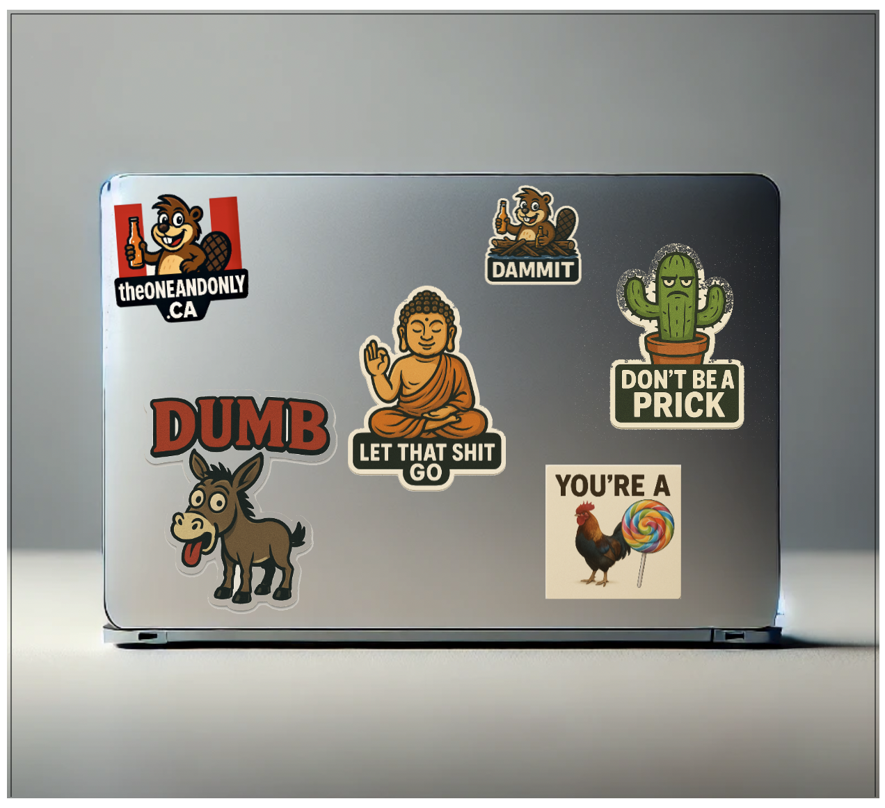 Laptop Multiple Stickers