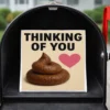 Funny “Thinking of You” prank bubble mailer sitting inside a residential mailbox as an anonymous gag gift delivery.