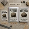 Pet Rock prank label shown as a DIY sticker, on a 6 × 9 bubble mailer and on a 6 × 9 box.