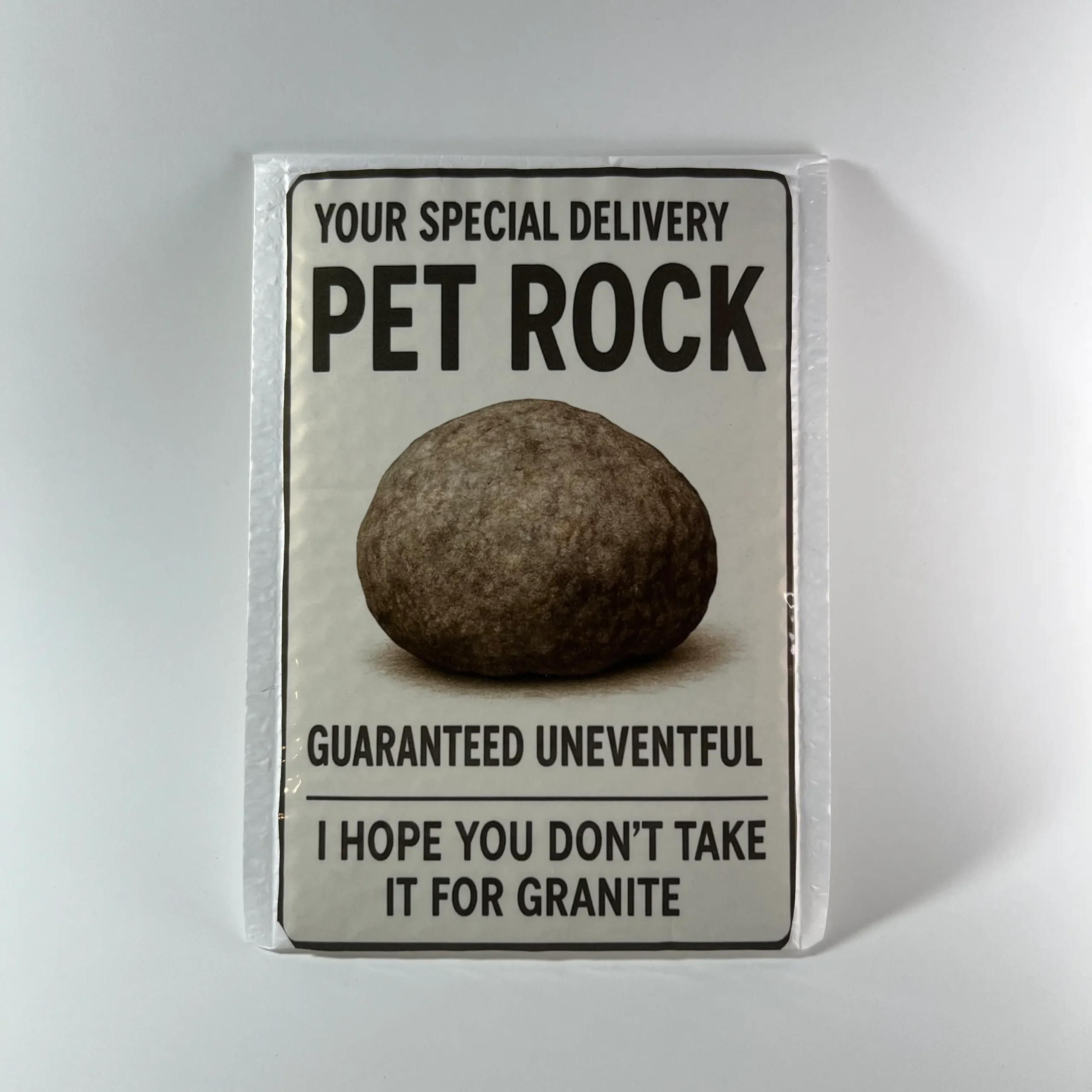 pet rock prank mail funny gift canada