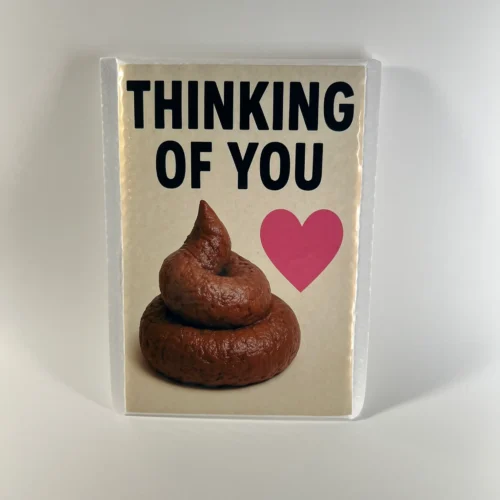 Thinking Of You poop prank mail gag gift novelty package
