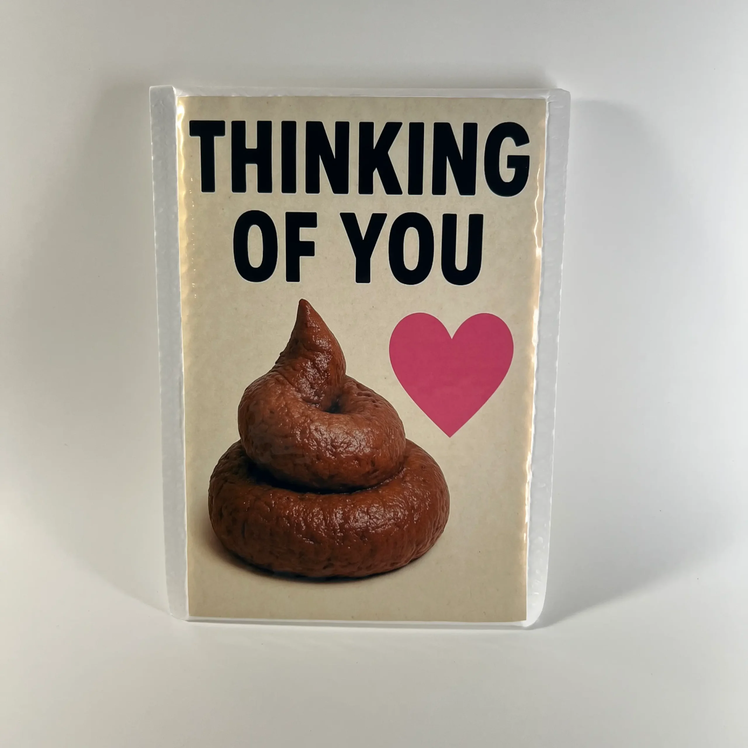 thinking of you poop prank mail gag gift
