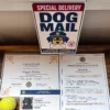 Personalized Dog Chief Security Officer Premium Box Contents Personalized dog Chief Security Officer gift box with appointment letter, certificate and photo badge.