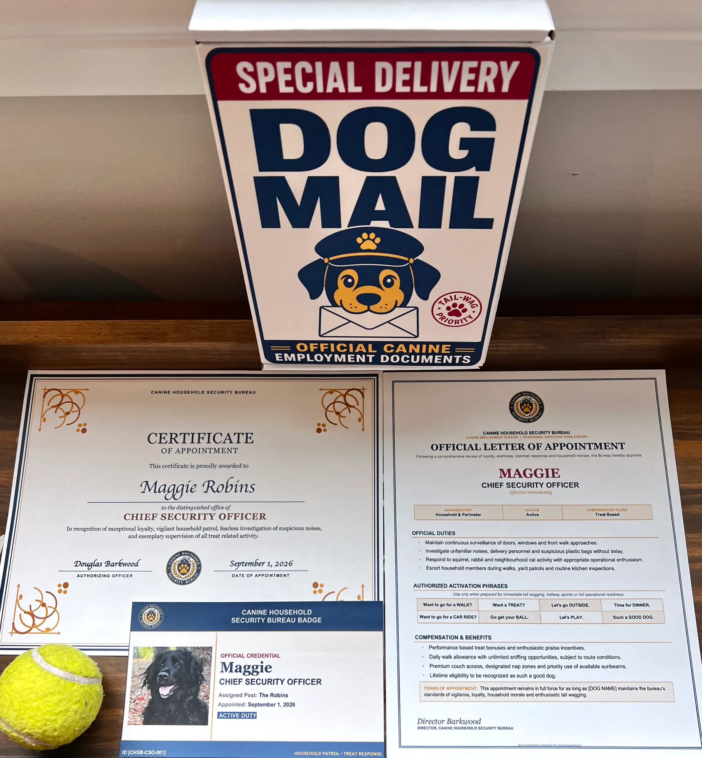Personalized dog Chief Security Officer premium gift box with certificate, appointment letter and photo badge