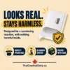 Harmless Prank Mail Packaging Harmless prank mail packaging designed for a convincing reaction with no harmful contents