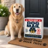 Dog Mail: You’re Hired – Personalized Dog Gift Delivery Golden retriever beside Dog Mail You're Hired personalized dog gift package at a front door